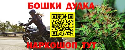 прущие крисы Донской