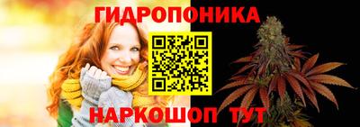 сатива Дубна